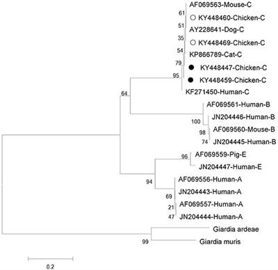 Prevalence and Genetic Characterization of Cryptosporidium, Giardia and Enterocytozoon in Chickens From Ezhou, Hubei, China